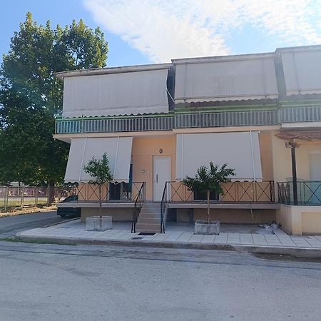 Panos House - High Luxury Apartment Tríkala エクステリア 写真