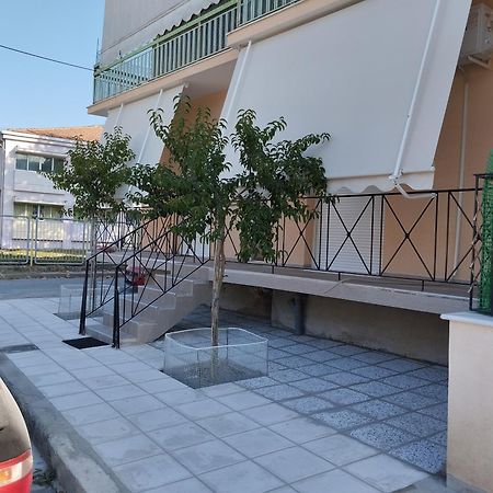 Panos House - High Luxury Apartment Tríkala エクステリア 写真