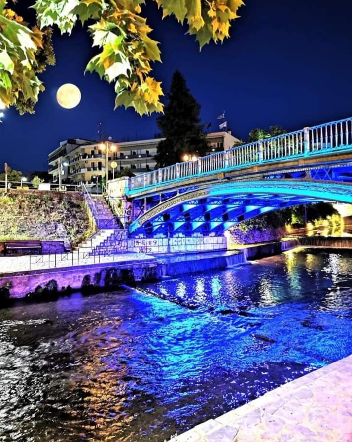 Panos House - High Luxury Apartment Tríkala エクステリア 写真