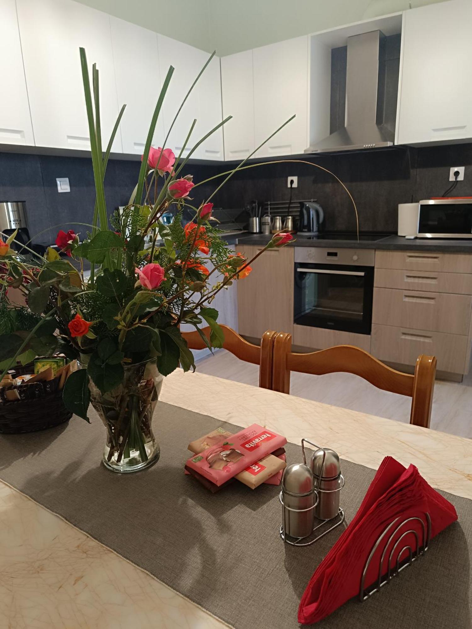 Panos House - High Luxury Apartment Tríkala エクステリア 写真