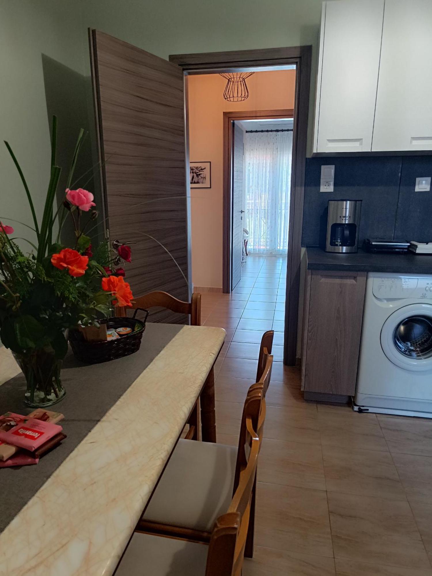 Panos House - High Luxury Apartment Tríkala エクステリア 写真