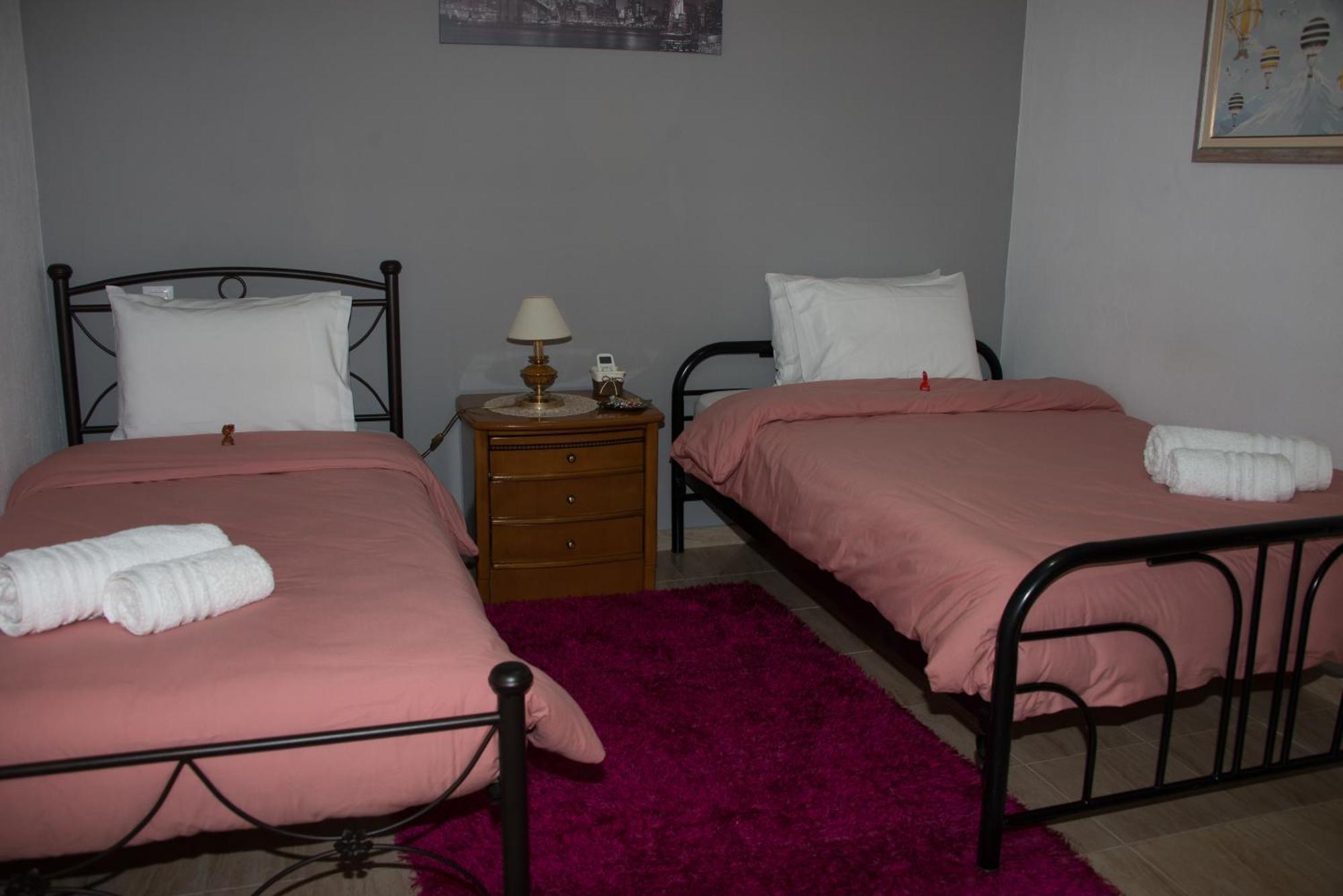Panos House - High Luxury Apartment Tríkala エクステリア 写真