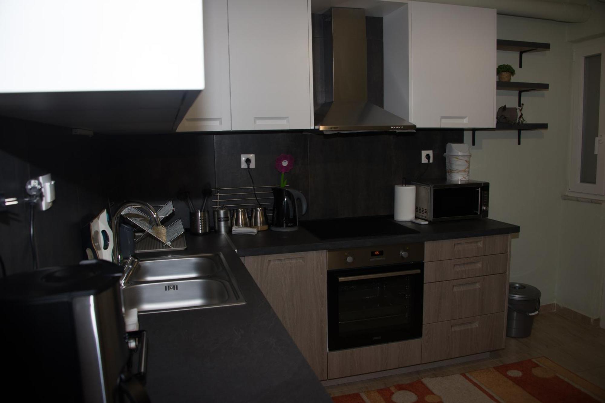 Panos House - High Luxury Apartment Tríkala エクステリア 写真