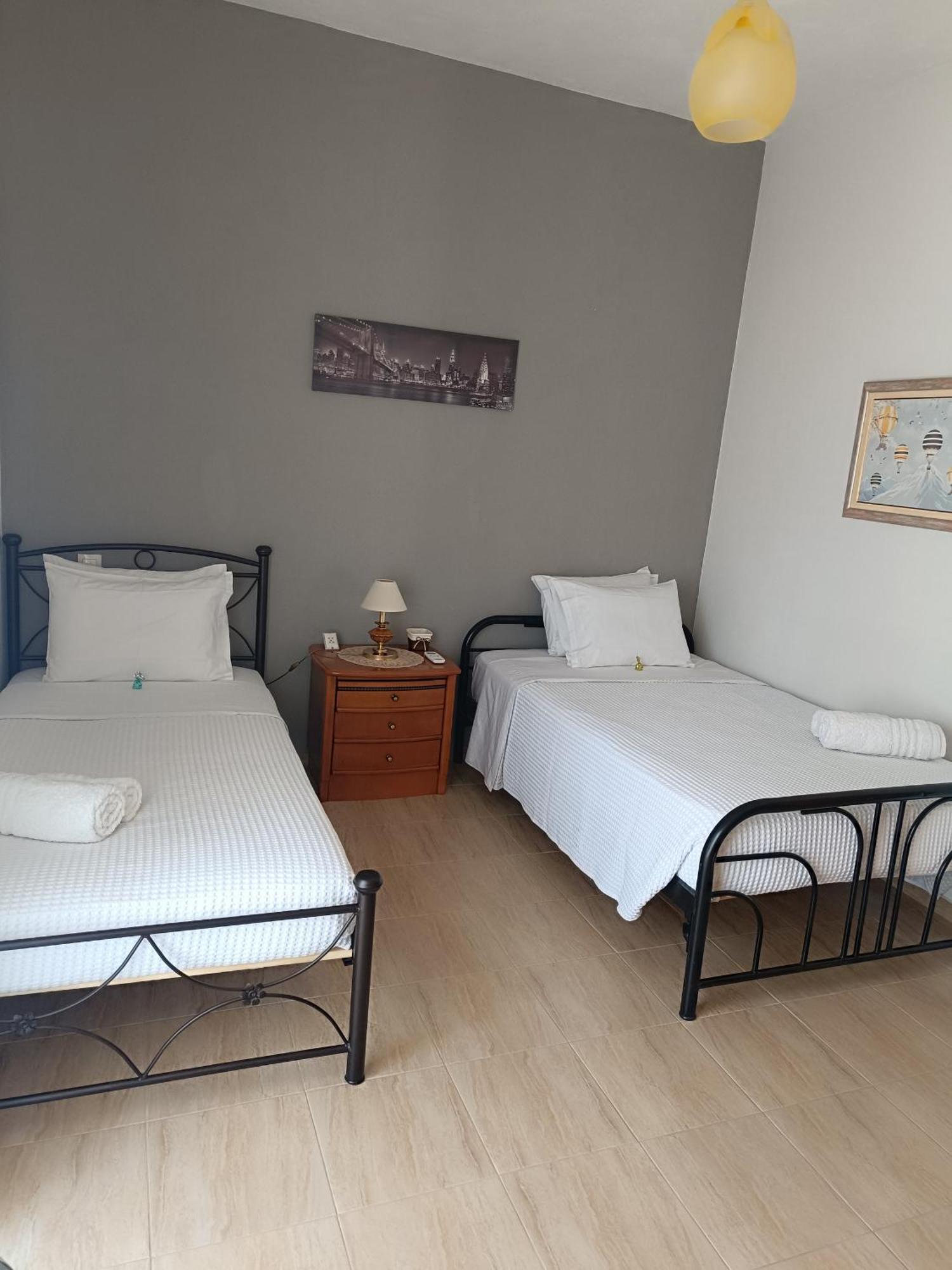 Panos House - High Luxury Apartment Tríkala エクステリア 写真