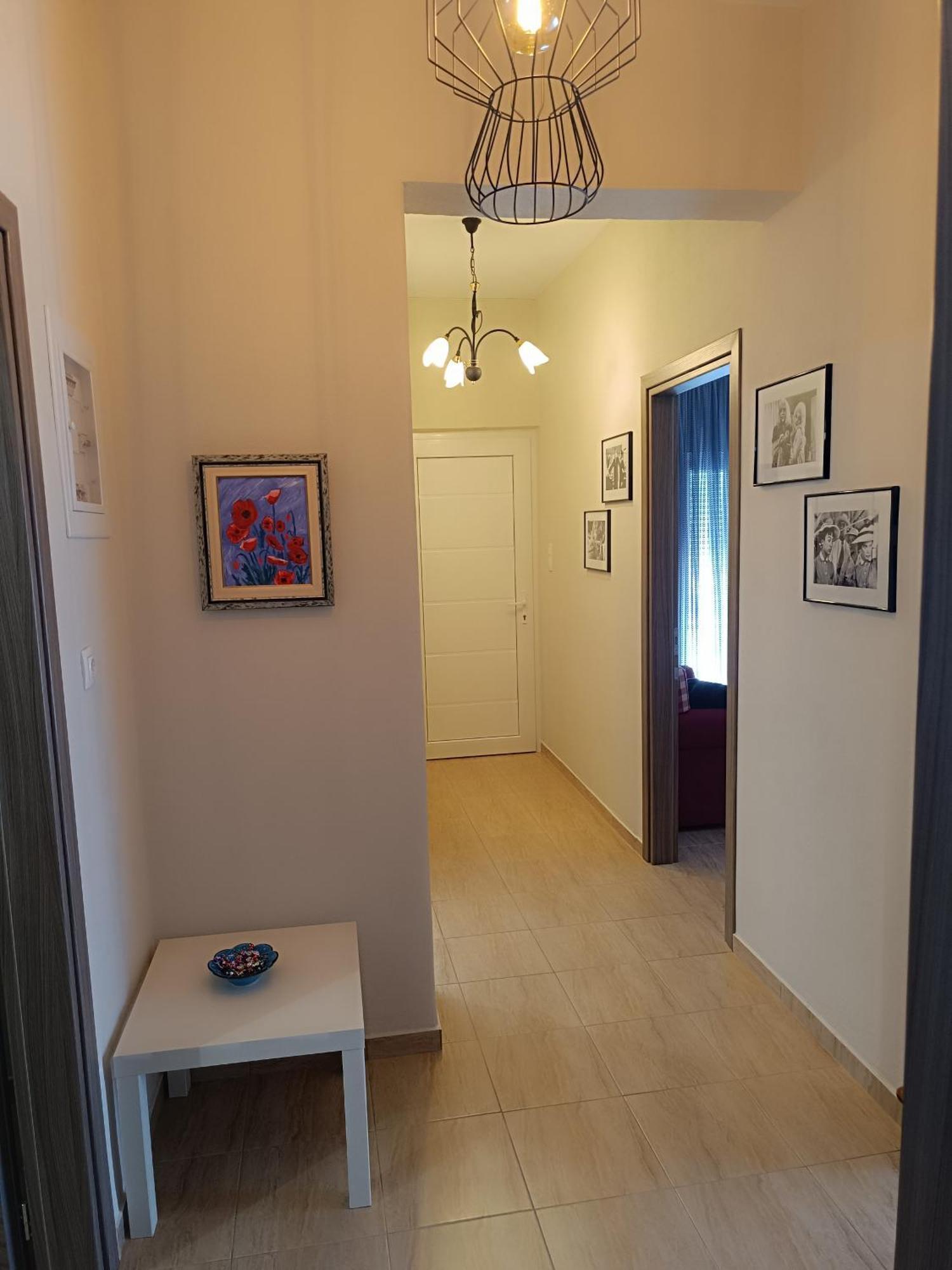Panos House - High Luxury Apartment Tríkala エクステリア 写真