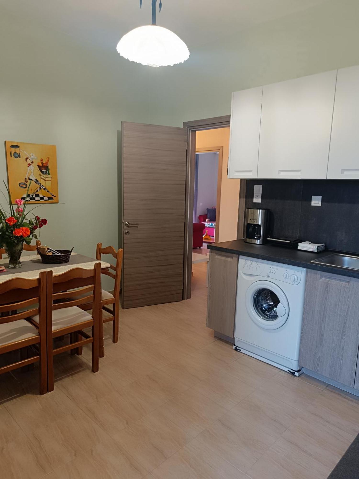 Panos House - High Luxury Apartment Tríkala エクステリア 写真
