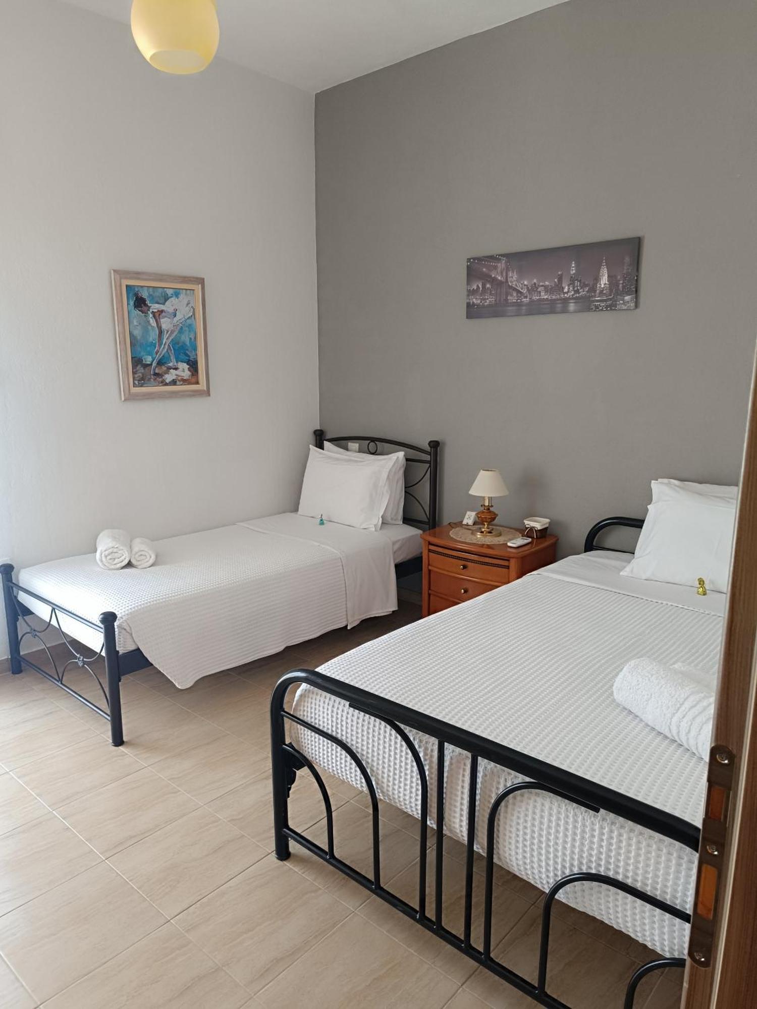 Panos House - High Luxury Apartment Tríkala エクステリア 写真